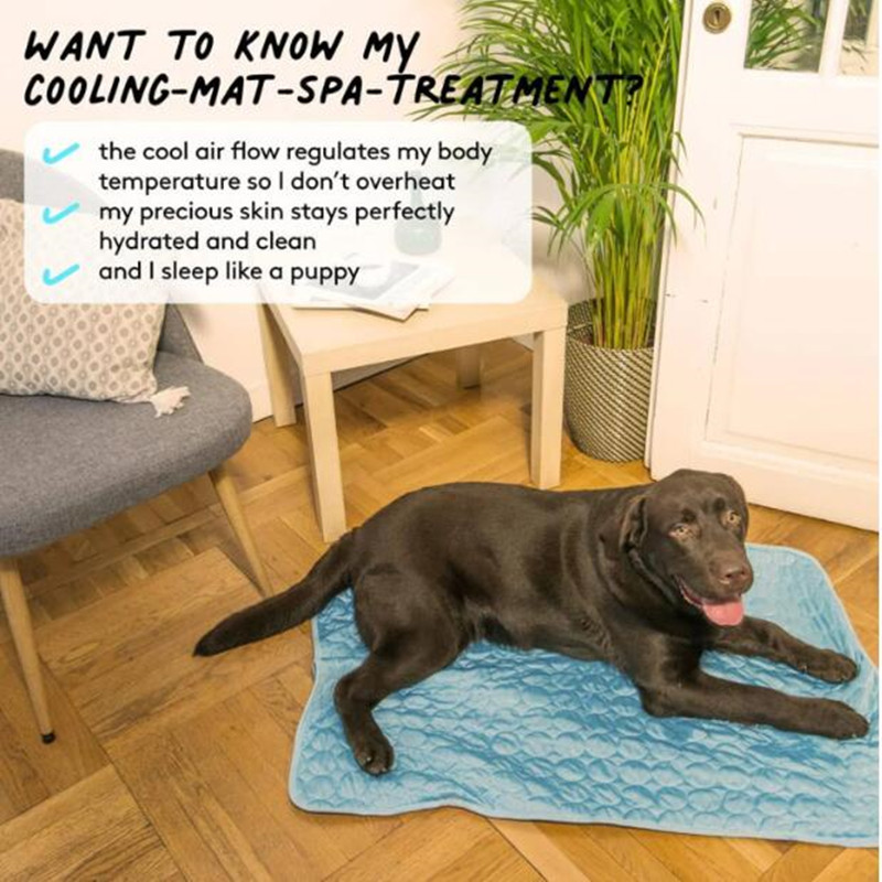 The Ultimate Cooling Pet Mat B - Cooling Blanket Hot Sleepers review and price